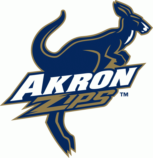 Akron Zips 2002-Pres Alternate Logo v2 DIY iron on transfer (heat transfer)